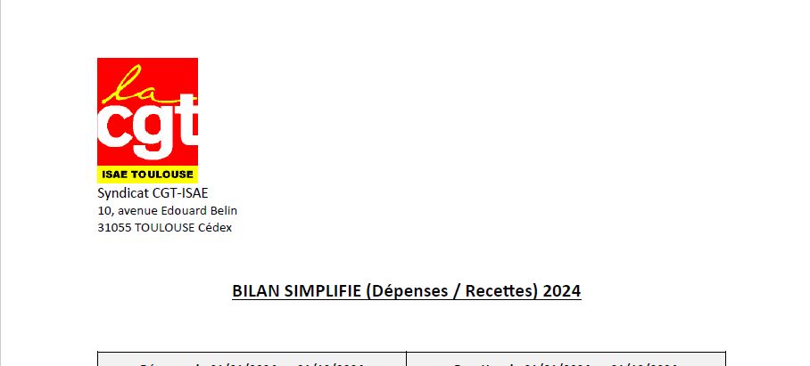 bilan simplifie 2024
