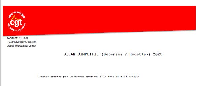 bilan simplifie 2025